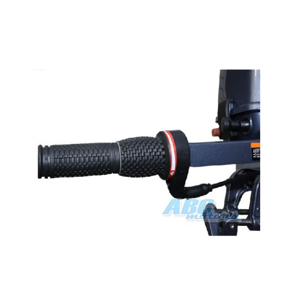Лодочный мотор Fisher T2.5CBMS