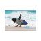 Дошка SUP Aztron ORION Surf SUP 2020K 8.6