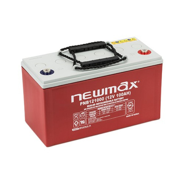 AGM аккумулятор NewMax 100AH 12V Корея