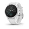 Смарт-часы Garmin fenix 6S серебристые с белым ремешком