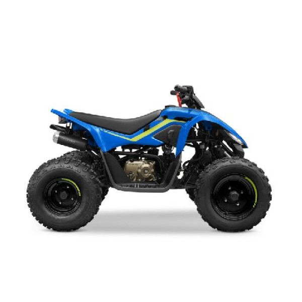 Квадроцикл дитячий CFMOTO CFORCE 110 синій