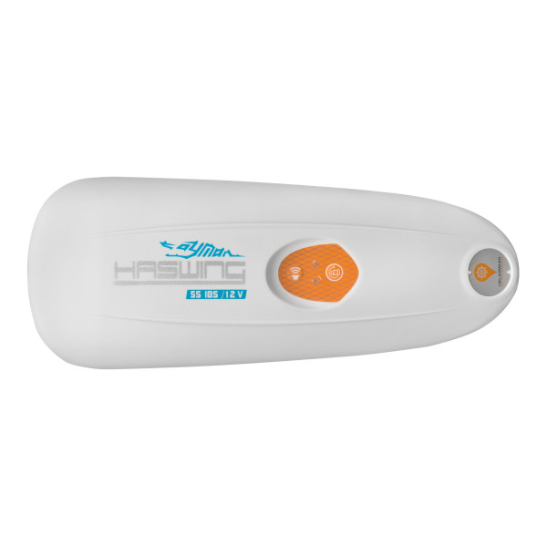 Лодочный электромотор Haswing Cayman B 55 Lbs 12V GPS 152 см белый