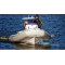Надувний човен RIB Grand Marine Golden Line G-650