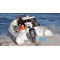 Надувний човен RIB Grand Marine Golden Line G-650